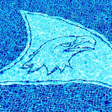 Apartmán Ostoja Orli Dziob F3 *