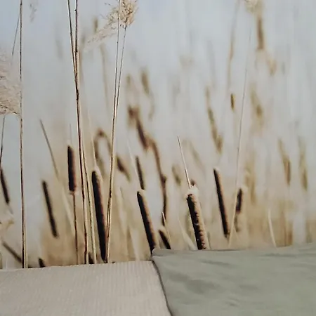 Apartmán Ostoja Orli Dziob F3